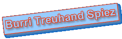 Willkommen bei Burri Treuhand Speiz!